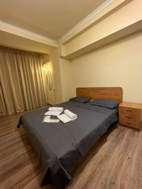 Nice Apartment In Yerevan on Sayat Nova Sreet